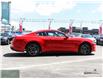 2019 Ford Mustang  (Stk: P16235) in North York - Image 6 of 28