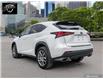 2020 Lexus NX 300 Base (Stk: 22283) in Ottawa - Image 4 of 28