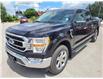 2022 Ford F-150 XLT (Stk: F3416) in Bobcaygeon - Image 4 of 24