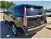 2017 Cadillac Escalade Luxury (Stk: P0203) in Mississauga - Image 3 of 36