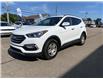 2017 Hyundai Santa Fe Sport 2.4 Premium (Stk: N152667A) in Charlottetown - Image 3 of 28