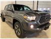 2019 Toyota Tacoma TRD Sport (Stk: P12943A) in Calgary - Image 8 of 18
