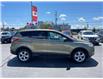 2013 Ford Escape SE (Stk: P3271) in St. Catharines - Image 6 of 8