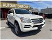 2011 Mercedes-Benz GL-Class Base (Stk: 142521) in SCARBOROUGH - Image 4 of 40
