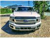 2020 Ford F-150  (Stk: 9751) in Golden - Image 2 of 25