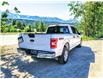 2019 Ford F-150  (Stk: 9750) in Golden - Image 34 of 34