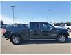 2014 Ford F-150 XLT (Stk: F5457D) in Prince Albert - Image 5 of 15