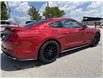 2022 Ford Mustang GT (Stk: Z09604) in Watford - Image 5 of 16