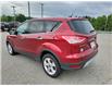 2014 Ford Escape SE (Stk: ES211B) in Miramichi - Image 3 of 14