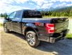 2019 Ford F-150  (Stk: 9728) in Golden - Image 4 of 35