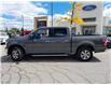 2019 Ford F-150 XLT (Stk: P0237) in Mississauga - Image 2 of 32