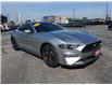 2020 Ford Mustang  (Stk: 46218) in Windsor - Image 1 of 14