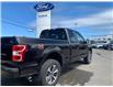 2019 Ford F-150  (Stk: 4330A) in Matane - Image 4 of 11
