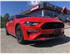 2021 Ford Mustang GT (Stk: 22119AA) in Embrun - Image 1 of 5