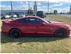 2021 Ford Mustang GT Premium (Stk: 4041A) in Chatham - Image 4 of 20