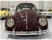 1964 Volkswagen Beetle  (Stk: 638834) in Watford - Image 3 of 16
