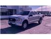 2021 Ford F-150 XLT (Stk: 16065) in Wyoming - Image 4 of 24