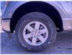 2021 Ford F-150 XLT (Stk: 16065) in Wyoming - Image 10 of 24