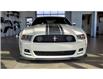 2013 Ford Mustang Boss 302 (Stk: 7777) in Sherbrooke - Image 3 of 14