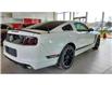 2013 Ford Mustang Boss 302 (Stk: 7777) in Sherbrooke - Image 5 of 14