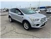 2019 Ford Escape SE (Stk: P0061050) in Cambridge - Image 4 of 19