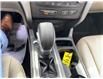 2019 Ford Escape SE (Stk: P0061050) in Cambridge - Image 16 of 19