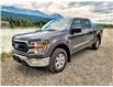 2022 Ford F-150  (Stk: 9419) in Golden - Image 8 of 14