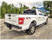 2020 Ford F-150 XLT (Stk: 9749) in Golden - Image 7 of 34