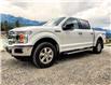 2020 Ford F-150 XLT (Stk: 9749) in Golden - Image 34 of 34