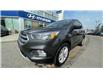 2017 Ford Escape SE (Stk: N070895A) in Calgary - Image 4 of 29