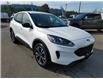 2022 Ford Escape SE (Stk: 22T126) in Quesnel - Image 1 of 15
