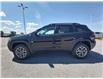 2022 Jeep Cherokee Trailhawk (Stk: N00656) in Kanata - Image 5 of 30