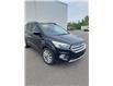 2019 Ford Escape SEL (Stk: A36973A) in Antigonish - Image 1 of 10