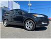 2015 Ford Escape SE (Stk: 4049a) in Matane - Image 3 of 11