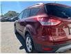 2014 Ford Escape SE (Stk: 4207B) in Matane - Image 6 of 13