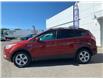 2014 Ford Escape SE (Stk: 4207B) in Matane - Image 7 of 13