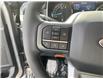 2022 Ford F-150 XLT (Stk: NLT156) in Fort Saskatchewan - Image 15 of 21