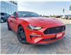 2020 Ford Mustang GT (Stk: N00252A) in Kanata - Image 11 of 21