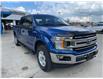 2018 Ford F-150 XLT (Stk: N264AA) in Chatham - Image 4 of 20
