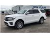 2022 Ford Expedition Limited (Stk: 16215) in Wyoming - Image 4 of 27