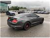 2017 Ford Mustang  (Stk: UM2975) in Chatham - Image 5 of 26