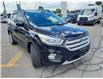 2019 Ford Escape SEL (Stk: P0241) in Mississauga - Image 7 of 28
