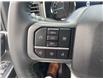 2022 Ford F-150 XLT (Stk: P6493) in Perth - Image 29 of 32