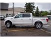 2019 Ford F-150  (Stk: 20707A) in Edmonton - Image 17 of 49
