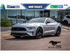 2021 Ford Mustang  (Stk: 20666A) in Edmonton - Image 1 of 43