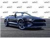 2022 Ford Mustang GT Premium (Stk: MD741) in Waterloo - Image 1 of 21