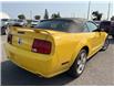 2006 Ford Mustang GT (Stk: ) in Ottawa - Image 16 of 16