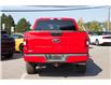 2019 Ford F-150  (Stk: PT0038) in Midland - Image 4 of 14
