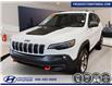 2019 Jeep Cherokee Trailhawk Elite (Stk: D20200A) in Fredericton - Image 1 of 21