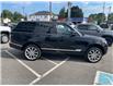 2016 Land Rover Range Rover DIESEL Td6 HSE (Stk: UT95738) in Cobourg - Image 6 of 25